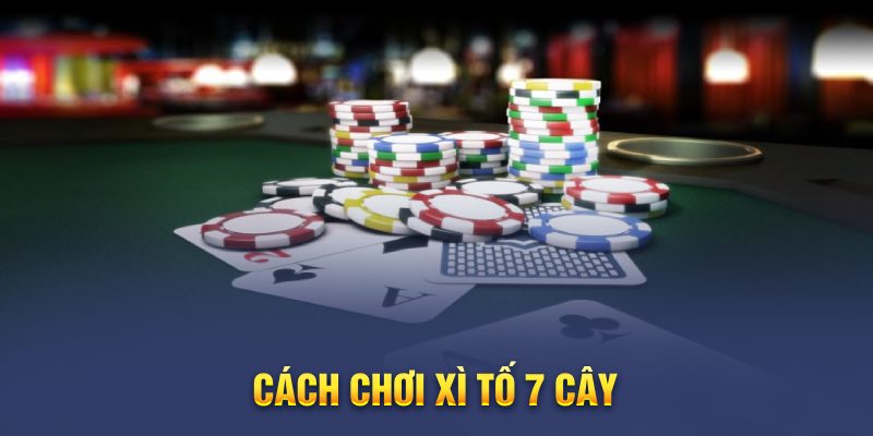 xì tố 7 cây xì tố 7 cây