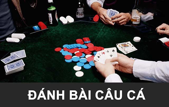 bài câu cá