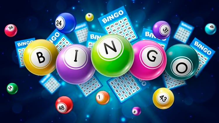 Bingo Bingo