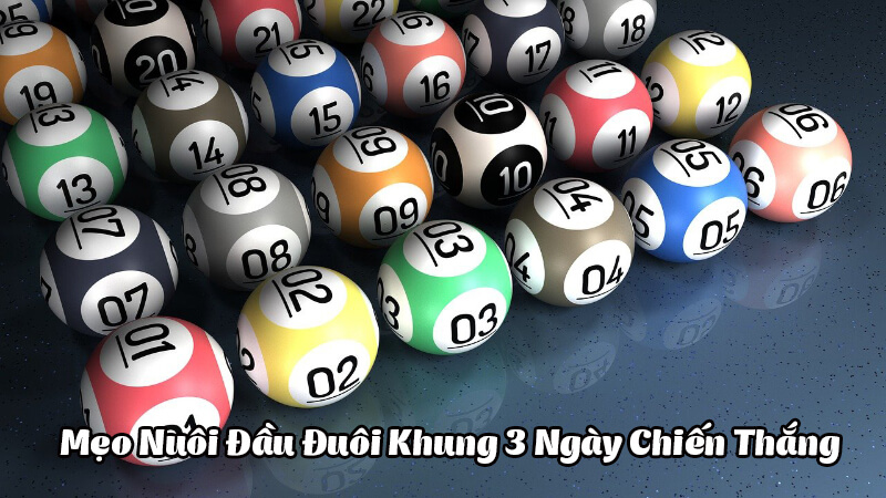 Cầu đầu đuôi khung 3 ngày Vegas79