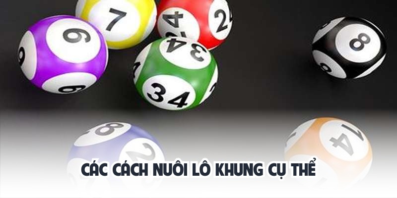 Nuôi Khung Lô tại Vegas79