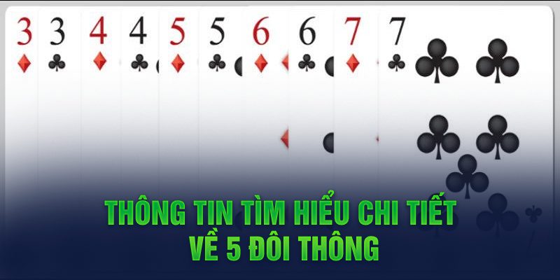 5 đôi thông 5 đôi thông