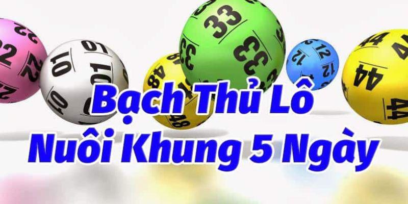 Bạch thủ lô 5 ngày