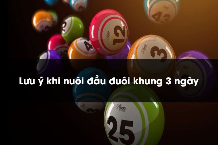 Cầu đầu đuôi khung 3 ngày