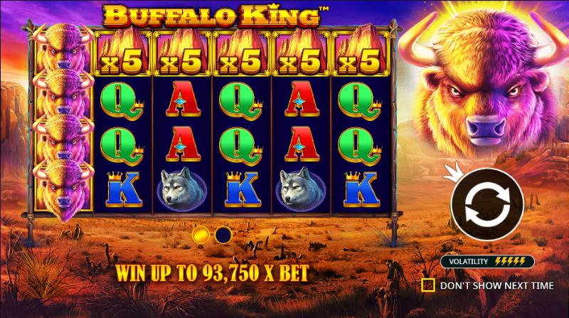Buffalo King Vegas79